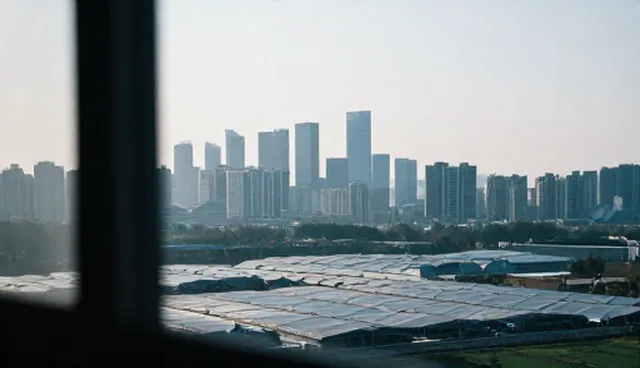 小程序制作开发，如何通过展示提升本地市场竞争力